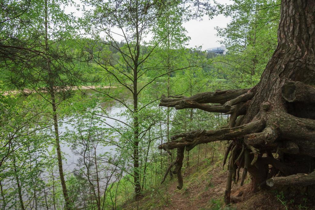 Отель Butas Prie Nemuno Друскининкай Экстерьер фото